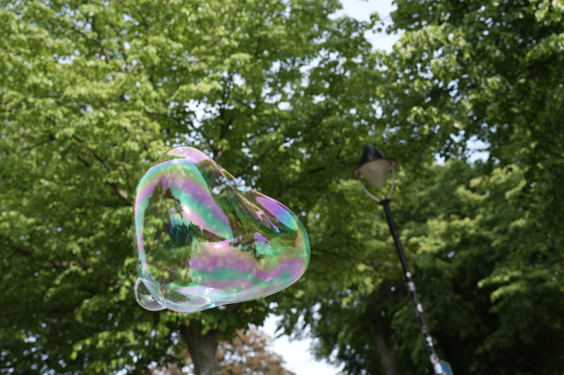 Große Seifenblase vor einem Baum